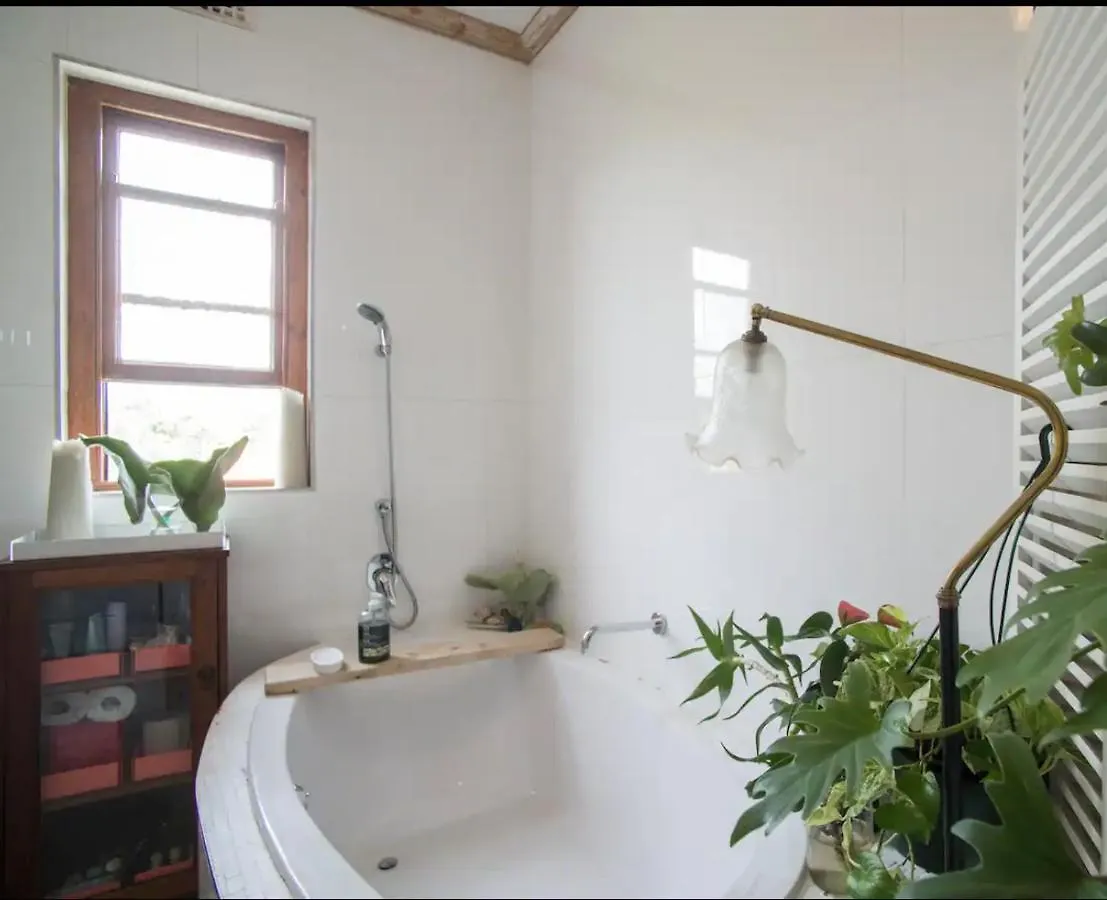 Artists Heritage Botanical Studio Le Cap Afrique du Sud
